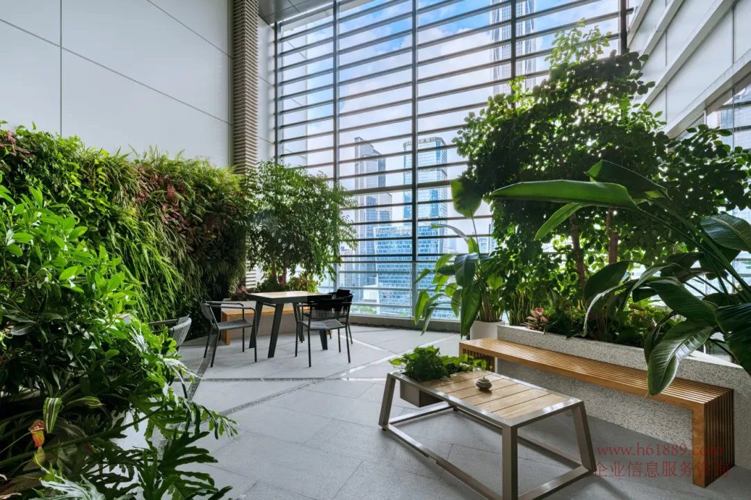 深圳·星河中心 花园图片